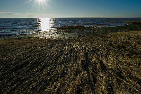 Ameland winter 2019-2020-299