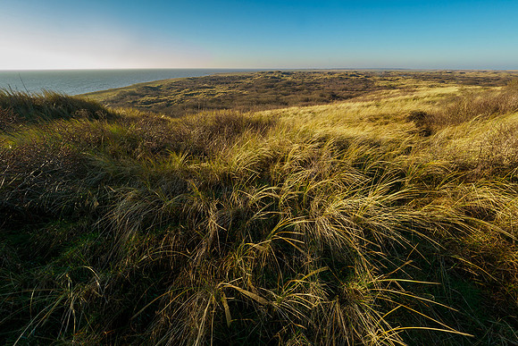 Ameland winter 2019-2020-297