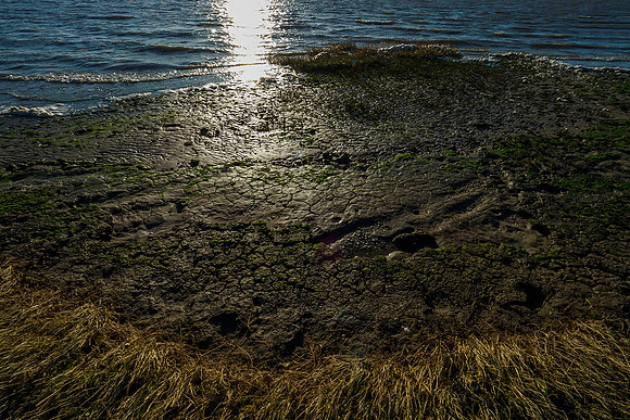 Ameland winter 2019-2020-300