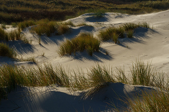 Ameland winter 2019-2020-301