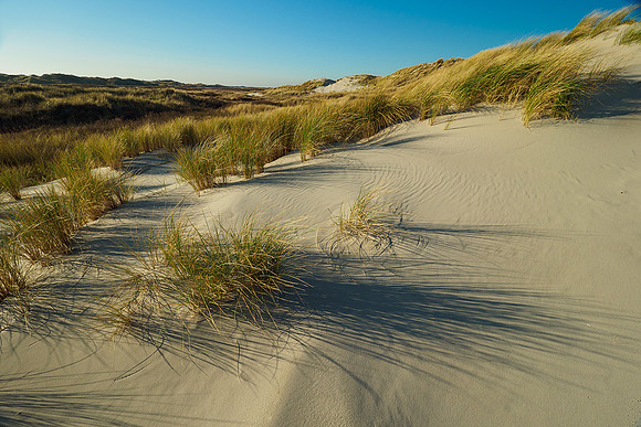 Ameland winter 2019-2020-302