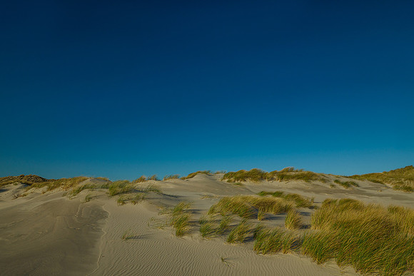 Ameland winter 2019-2020-303
