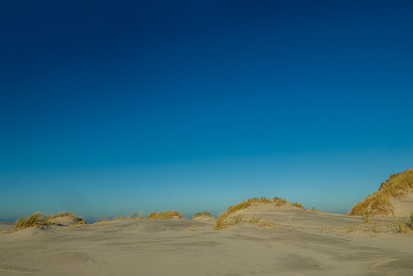 Ameland winter 2019-2020-304