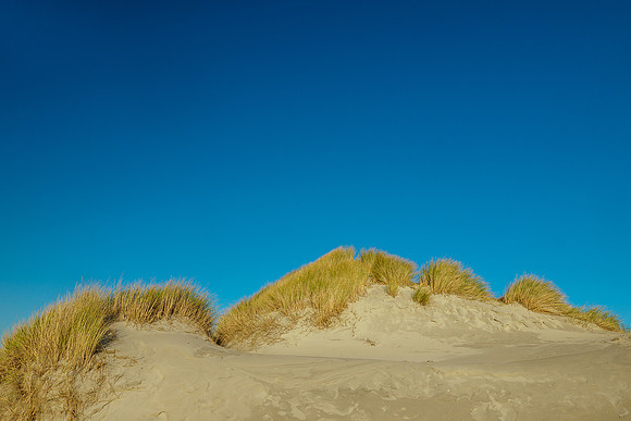 Ameland winter 2019-2020-305