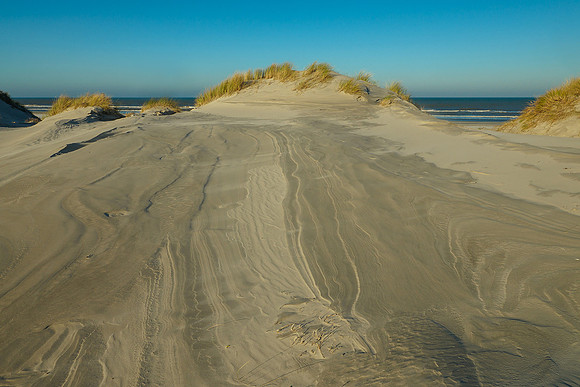 Ameland winter 2019-2020-306