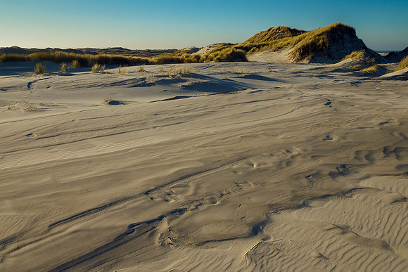 Ameland winter 2019-2020-307