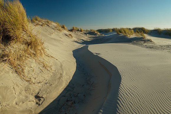 Ameland winter 2019-2020-308