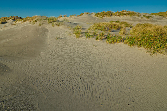 Ameland winter 2019-2020-309