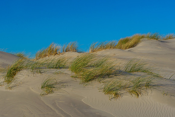 Ameland winter 2019-2020-310