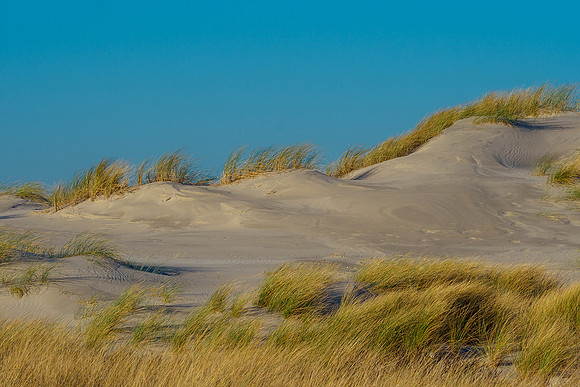 Ameland winter 2019-2020-311