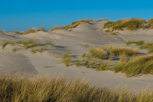 Ameland winter 2019-2020-313