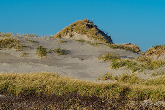 Ameland winter 2019-2020-312