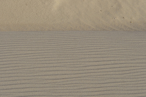Ameland winter 2019-2020-314