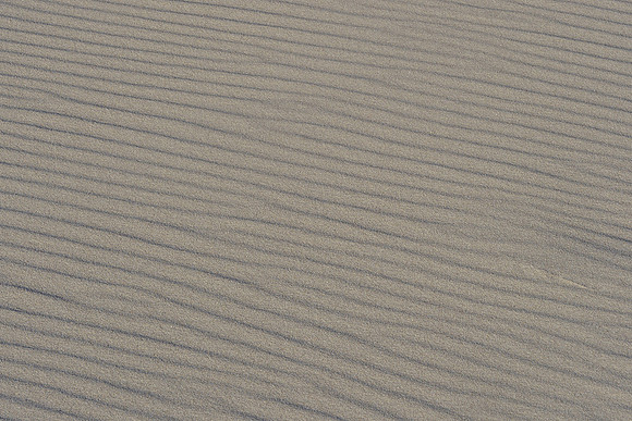 Ameland winter 2019-2020-315
