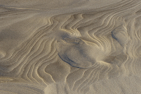 Ameland winter 2019-2020-316