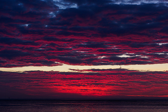 Ameland winter 2019-2020-317