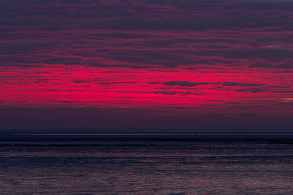 Ameland winter 2019-2020-318