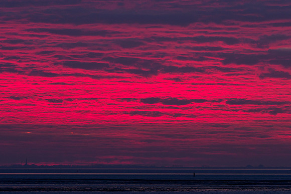 Ameland winter 2019-2020-319
