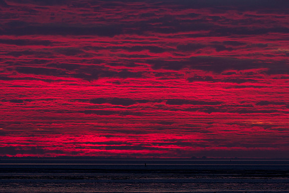 Ameland winter 2019-2020-320