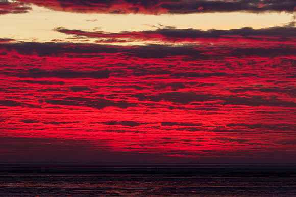 Ameland winter 2019-2020-323