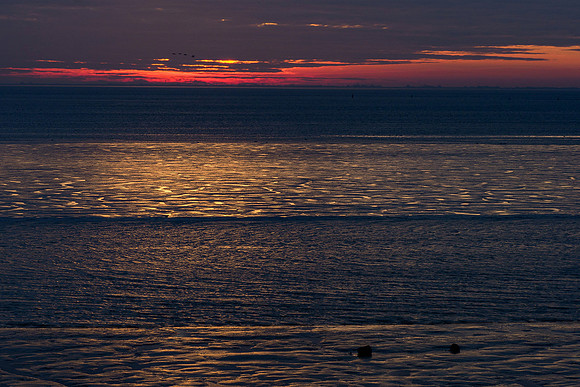 Ameland winter 2019-2020-324