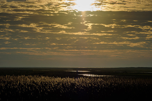 Ameland winter 2019-2020-326