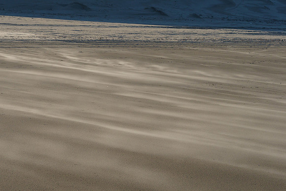 Ameland winter 2019-2020-328