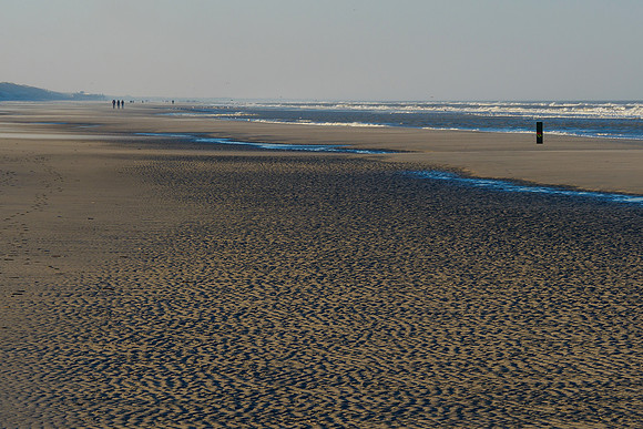 Ameland winter 2019-2020-329