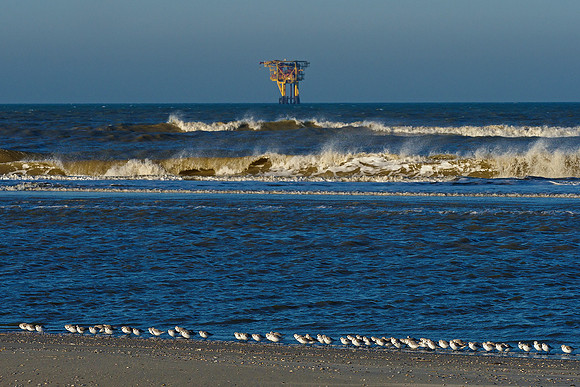 Ameland winter 2019-2020-332
