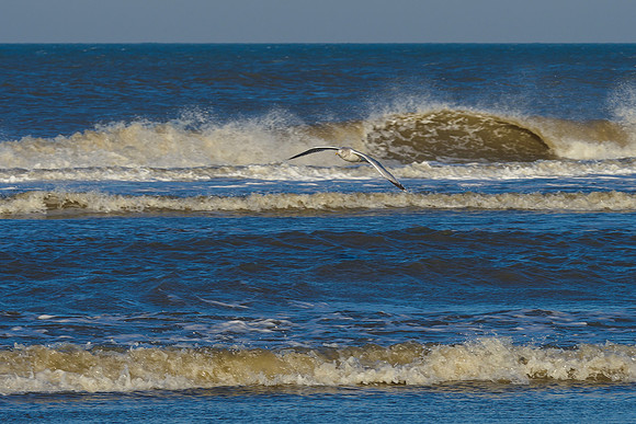 Ameland winter 2019-2020-355