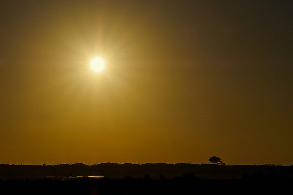 Ameland winter 2019-2020-356
