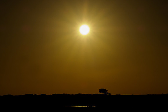 Ameland winter 2019-2020-357