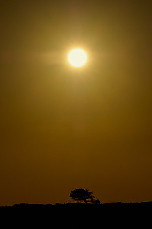 Ameland winter 2019-2020-358