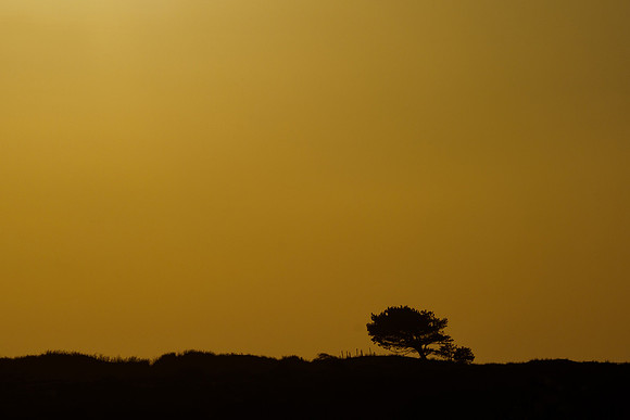 Ameland winter 2019-2020-359