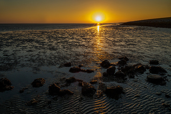 Ameland winter 2019-2020-366