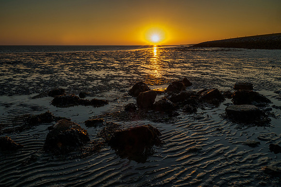 Ameland winter 2019-2020-367