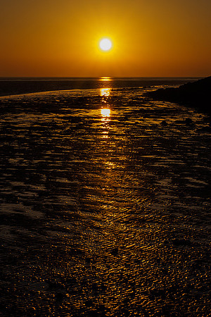 Ameland winter 2019-2020-368