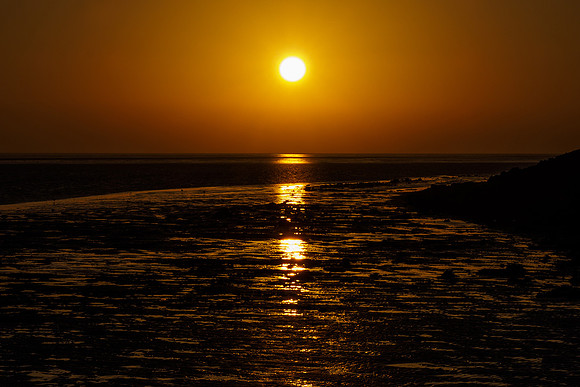 Ameland winter 2019-2020-369