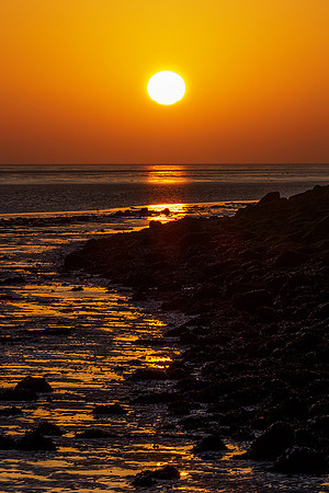Ameland winter 2019-2020-370