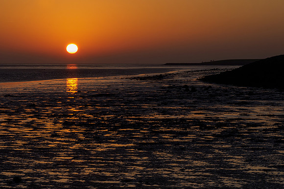 Ameland winter 2019-2020-371