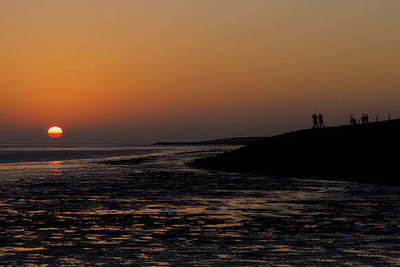 Ameland winter 2019-2020-372
