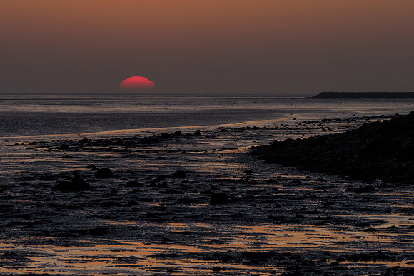 Ameland winter 2019-2020-374