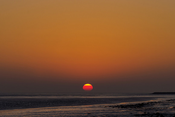 Ameland winter 2019-2020-373