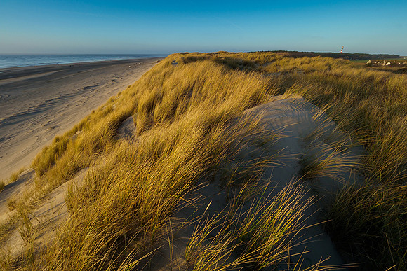 Ameland winter 2019-2020-375