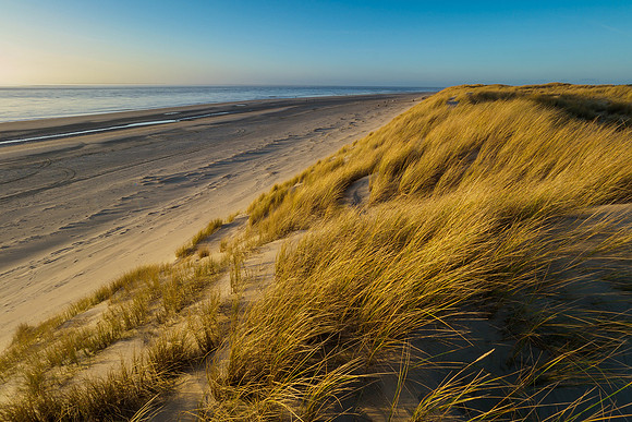 Ameland winter 2019-2020-376