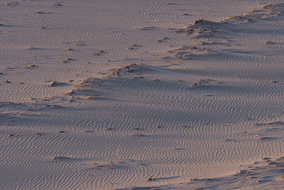 Ameland winter 2019-2020-377