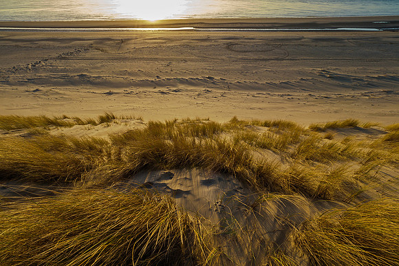 Ameland winter 2019-2020-378