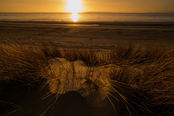 Ameland winter 2019-2020-379