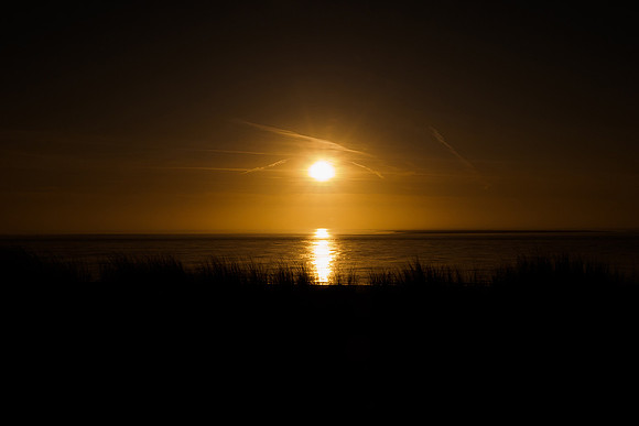 Ameland winter 2019-2020-380