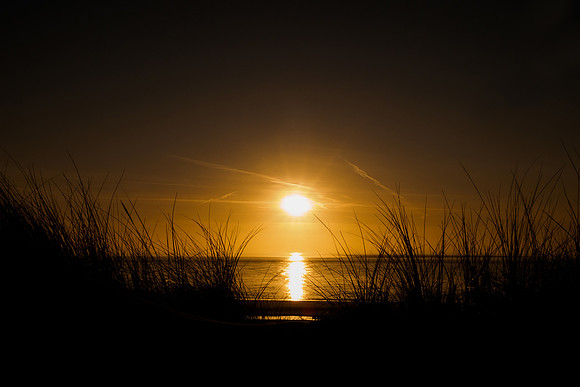 Ameland winter 2019-2020-381